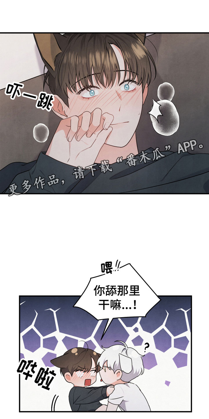 危险接近小说漫画,第11话1图