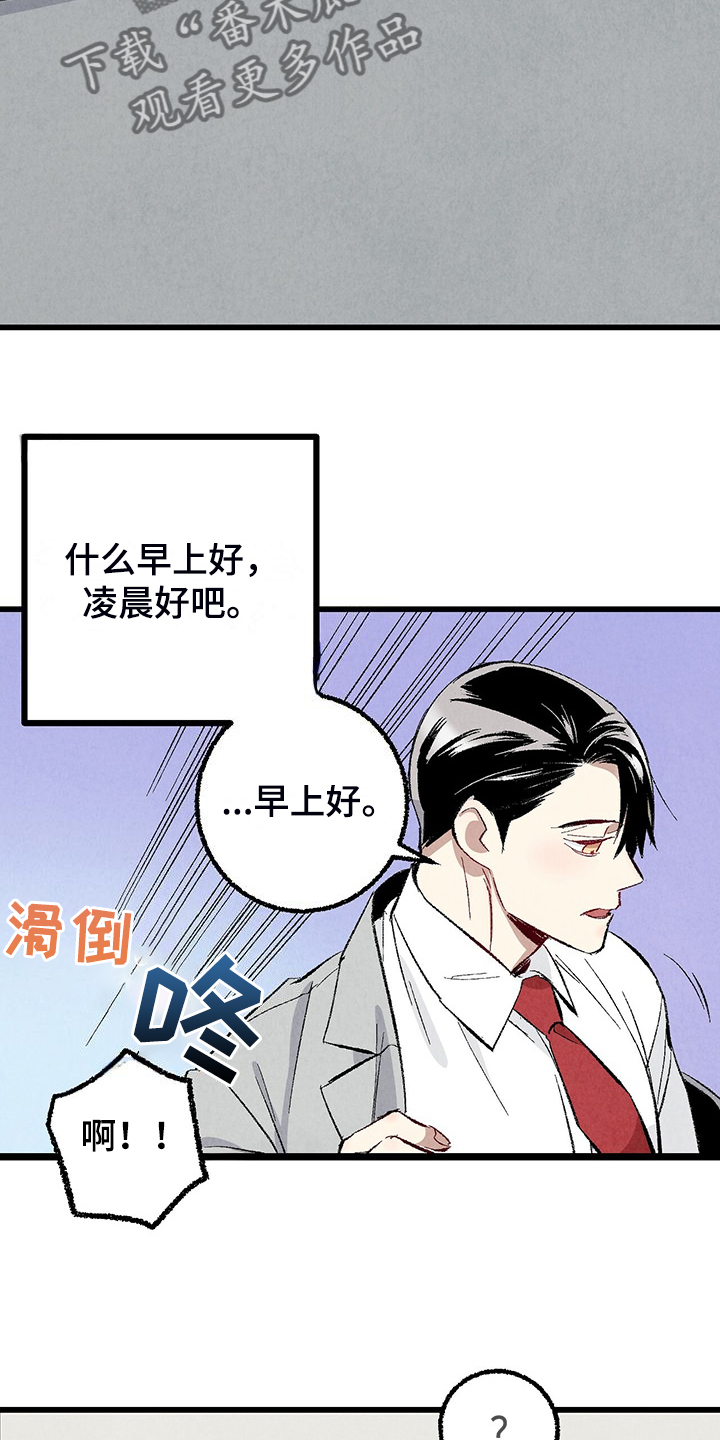 完美搭档漫画,第85话1图