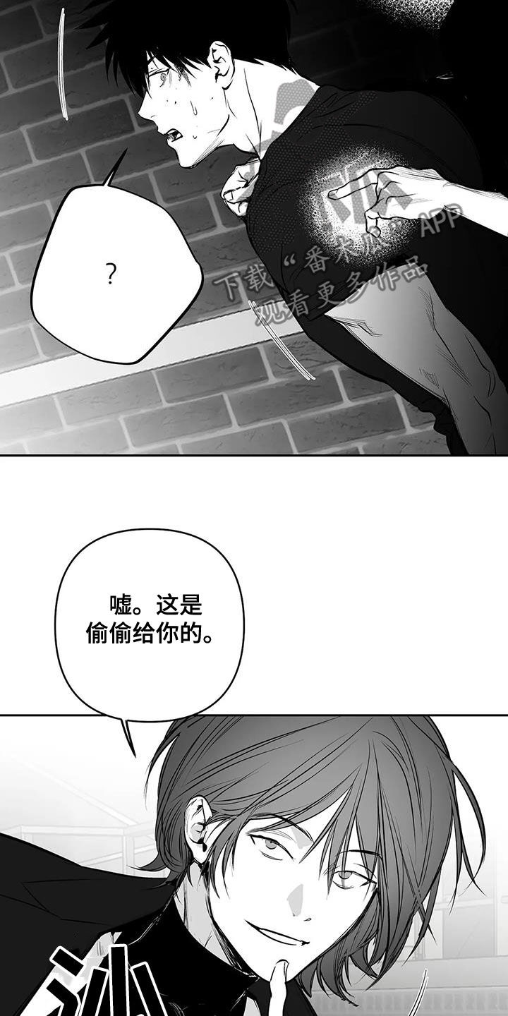 第169话3