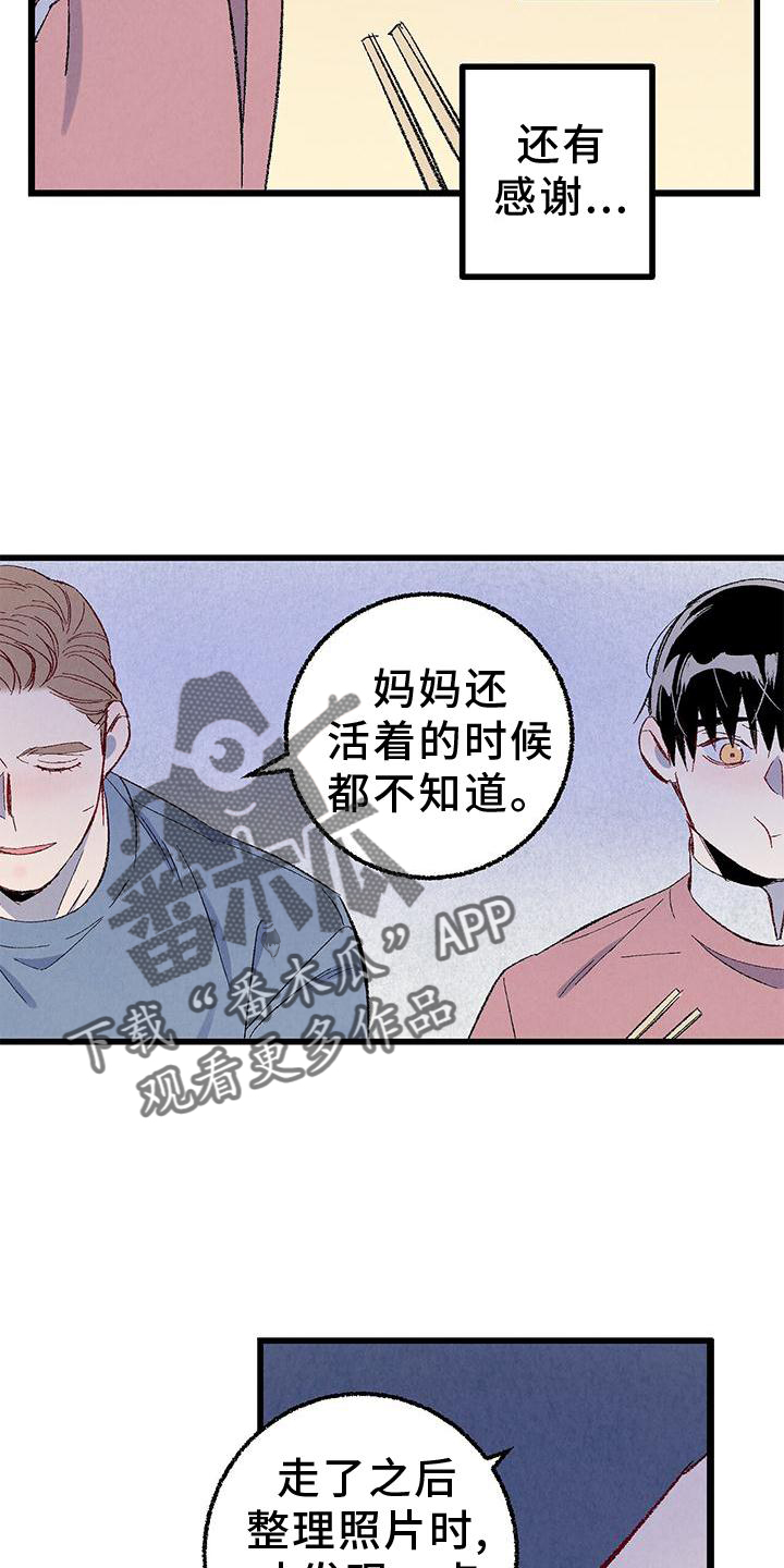 完美密友漫画免费在线观看漫画,第111话2图