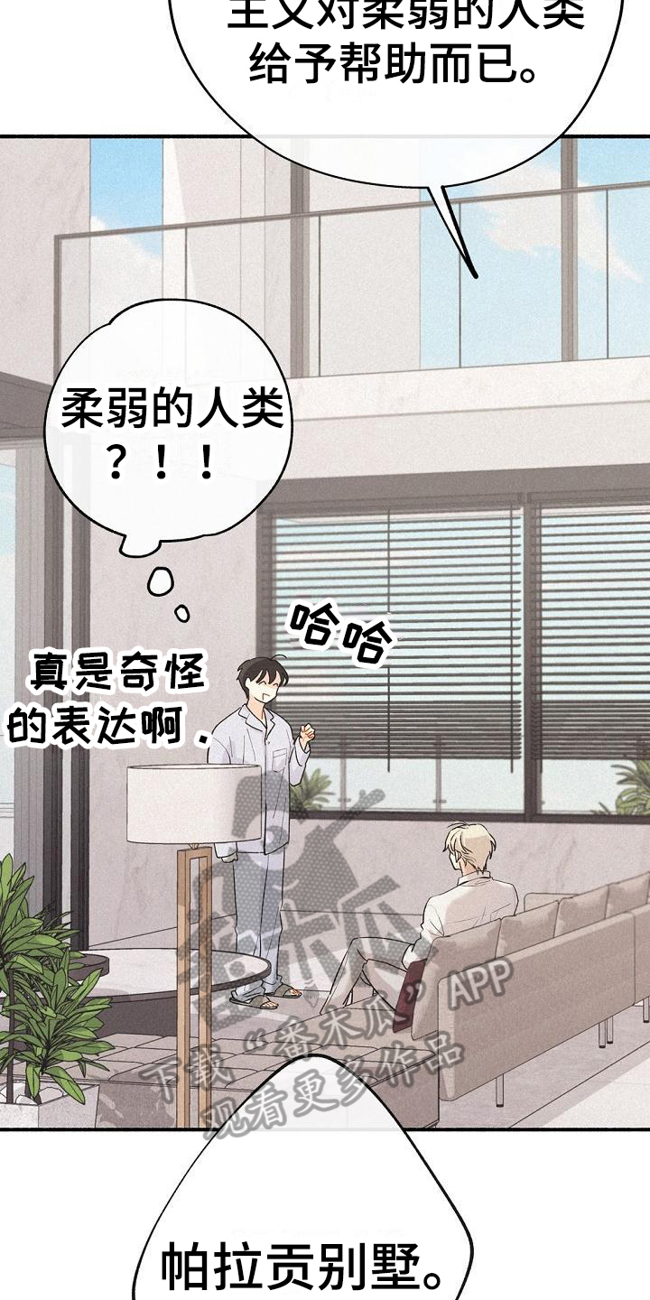 归还募集资金公告是利好还是利坏漫画,第7话2图