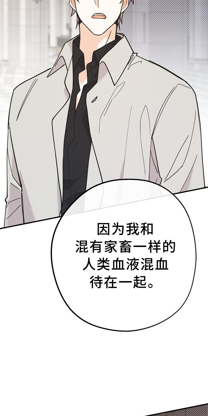 归还募集资金公告是利好还是利坏漫画,第33话1图