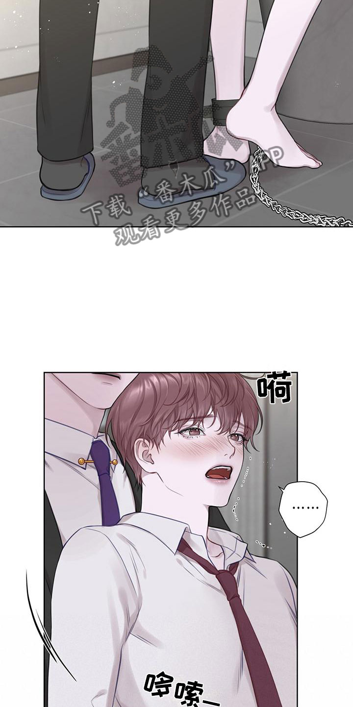 龟的头上有一层白色的膜怎么办漫画,第7话1图