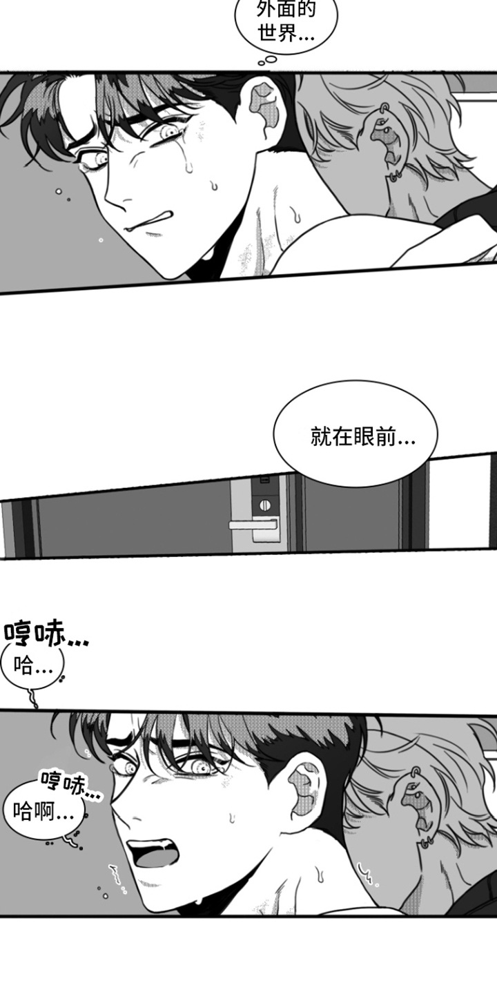 疯狂金龟车完整版下载漫画,第16话1图