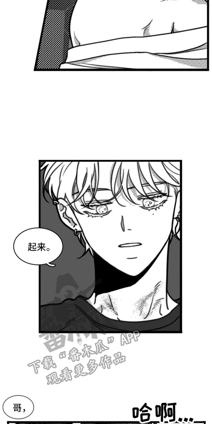 疯狂金龟车完整版下载漫画,第16话1图