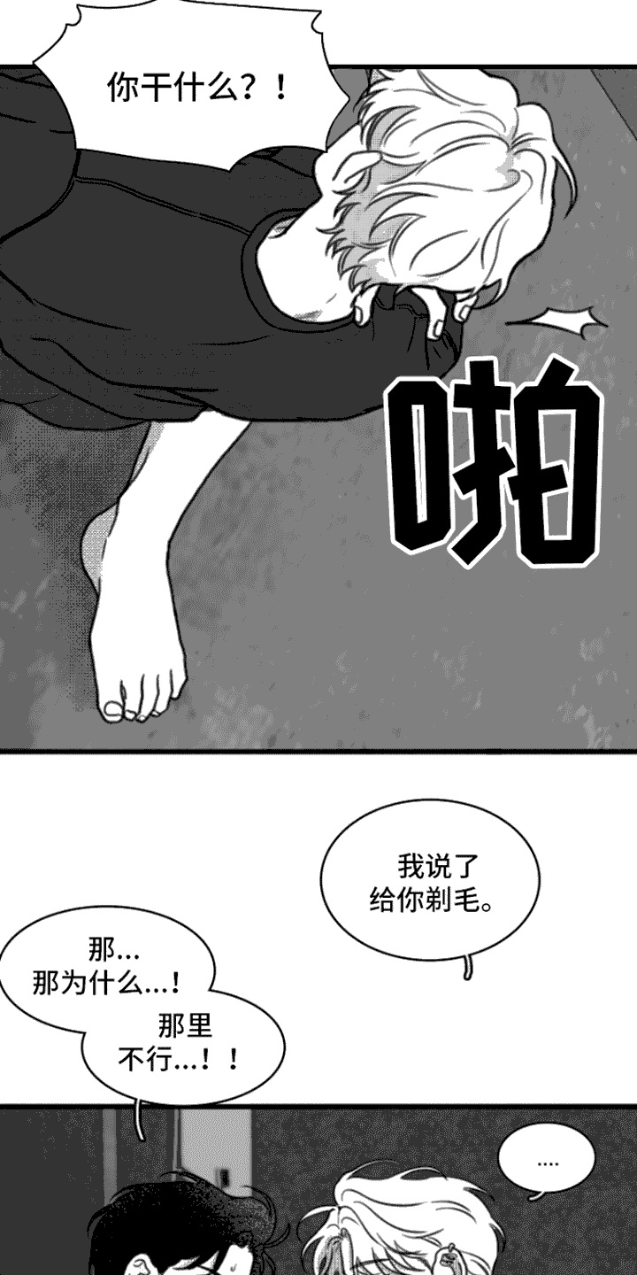 疯狂金龟车电影完整版免费中文漫画,第18话1图