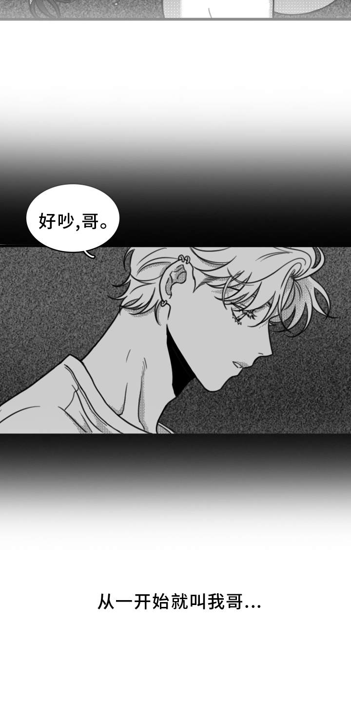 疯狂金龟车完整版hd免费在线观看漫画,第20话1图