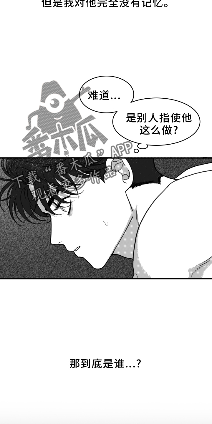 疯狂金龟车完整版hd免费在线观看漫画,第20话2图